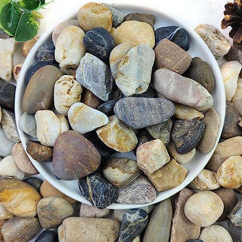 20lbs Aquarium Rocks, 5/8" Natural River Rocks for Plants | Decorative Polished Mixed Pebbles for Fish Tank, Landscaping, Gardening, Flower Pots, Vase Fillers, Indoor Water Fountains - size: 5/8 Inch