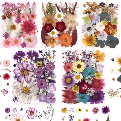 5 Packs of 140 Pressed Dried Flowers and Leaves for Resin | Assorted Real Natural Dry Flowers with Tweezers For DIY Crafts, Jewelry, Card Making, Soap,Candles, Nail Art, Scrapbooking - color: 5 Colors