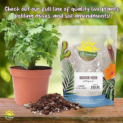 Soil Sunrise Coco Peat Perlite Potting Mix (12 Quarts) Loose Coconut Coir and Perlite - size: 12 Quarts