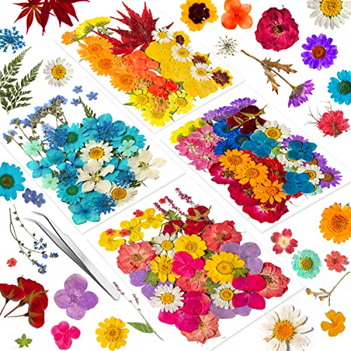 191PCS Real Nature Dried Pressed Flowers for Resin Mold, Dry Pressing Floral Set for DIY Jewelry Making Nail Card Scrapbook Art Craft Decors Blossom - color: Blossom