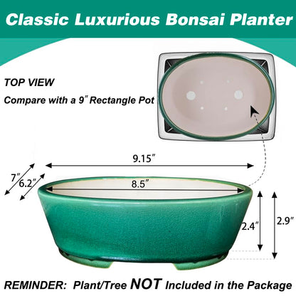 MUZHI 9” Glazed Oval Green Bonsai Planter Pot with Humidity Tray, Classic Neat Ice Crack Long Bonsai Tree Succulent Plant Pot with Saucer