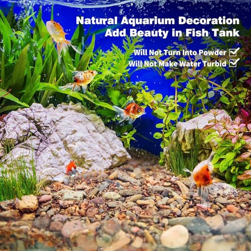 WDEFUN Aquarium Gravel River Rock, Natural Polished Mixed Colorful Stones, 10 LBS, for Plant Aquariums, Landscaping, Vase Filler