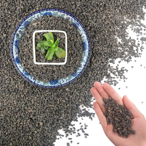Mulctun 45Lb Horticultural Lava Rock-Lava Rocks for Plants,Succulent Soil Amendment,Decorative Cactus Soil Potting Mix,Volcanic Rock for Aquarium Fairy Gardening Top Dressing Plant Drainage - color: Black