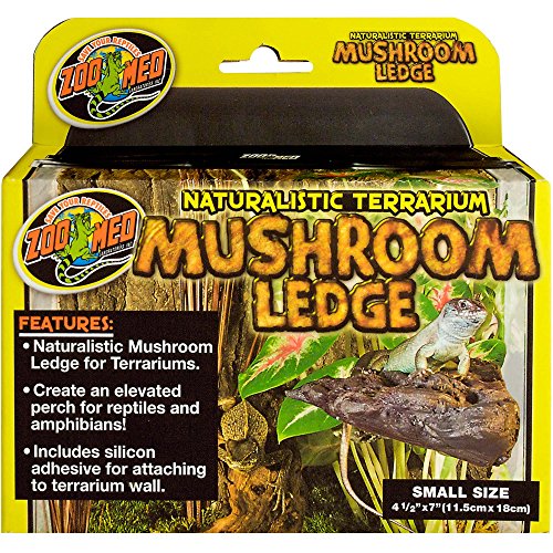 ZML DECOR MUSHROOM LEDGE SM