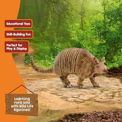 Schleich Wild Life - Wild Animal Toy Armadillo Figurine - Kids and Toddlers Ages 3+ | Wild Animal Figurine, Realistic Animal Toys, Safari Toy for Boys and Girls,Screen-Free Imaginative Pretend Play, Montessori