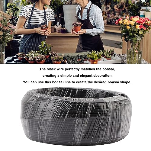 Bonsai Wire Aluminum Wire Training Wire 500g Black for Garden Horticulture (2.5mm) - size: 2.5mm
