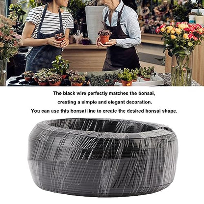 Bonsai Wire Aluminum Wire Training Wire 500g Black for Garden Horticulture (2.5mm) - size: 2.5mm