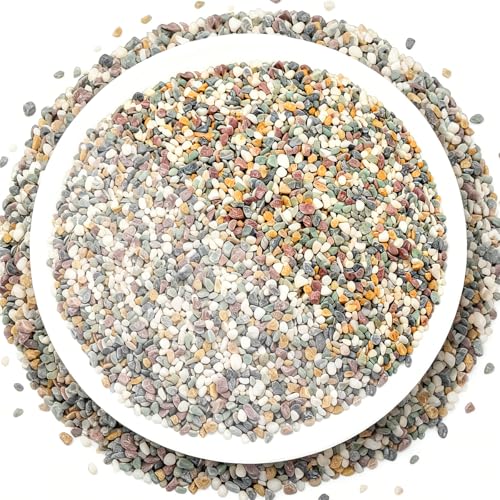 River Rocks, Landscaping Pebbles, Natural Decorative Stones, 5 Pounds | Ornamental Gravel Filler For Flower Bed, Fish Tank, Plants, Vases, Succulents, Home & Garden Landscaping Decoration - color: Natural, size: 5 Pounds