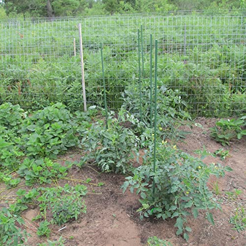 Garden Plant Stakes, 57 Inch (Approx 5Ft) Steel Tomato Stakes, 25 Pack - size: 57 Inch