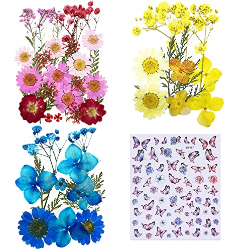 Cayway 4 Style Pressed Flowers Natural Dried Flowers Colorful Resin Flowers Real Pressed Flowers with Butterfly Sticker for Resin Scrapbooking DIY Art Crafts, Epoxy Resin Jewelry Supplies - color: 3 Packs+1 Packs Butterfly
