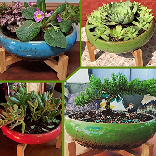 ARTKETTY Succulent Pots with Drainage - Large Succulent Planters with 2.2lb Mix Horticultural Lava Rock Pebbles, Planting Tools Set for Beginner- Shallow Bonsai Pot Ceramic Cactus Flower Plant Pot - color: White With Mix Lava Rock Pebbles
