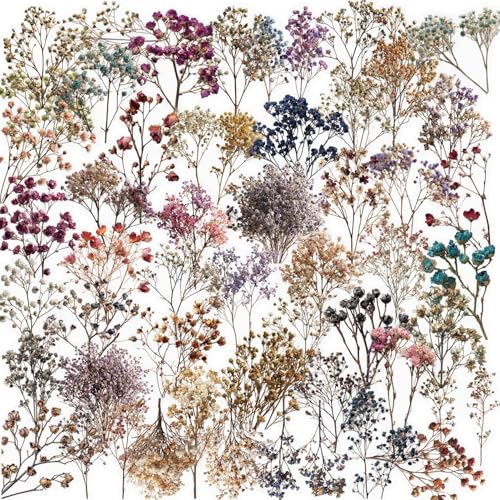 50PCS Vintage Dried Flower Stickers, Clear Botanical Pressed Floral Stickers Pack, Aesthetic Plant Decals for Scrapbooking Journaling Laptop Water Bottle Decor - color: Dried Flower