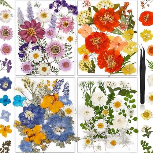 85Pcs Pressed Flowers for Crafts, Colorful Dried Flowers for Crafts Real Natural Dried Pressed Flowers Dry Leaves Bulk for Resin, DIY Art, Scrapbook, Jewelry, Card, Candle & Soap Making with Tweezers - color: Multi Color-a 85pcs