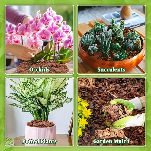 Legigo 6 Quarts Organic Orchid Bark, Orchid Potting Mix, Pine Bark - size: 6 Quarts