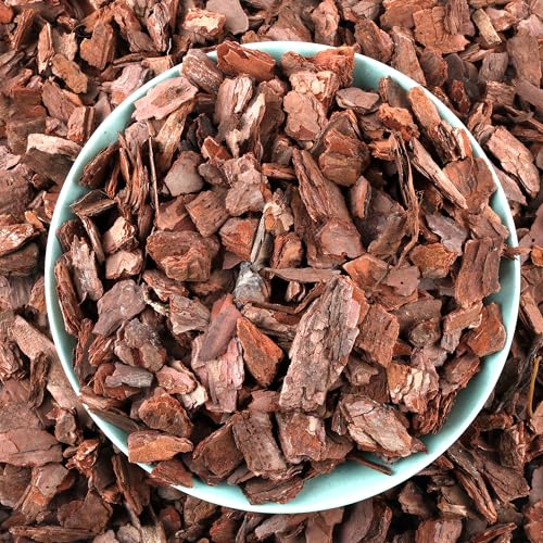 AVALUTION Orchid Potting Bark-9QT Organic Orchid Bark for Plants, All Natural Pine Bark Wood Chips for Houseplant Mulch, Orchid Plants Root Development, Mulch for Potted Plants - color: Large, size: 9 Quarts