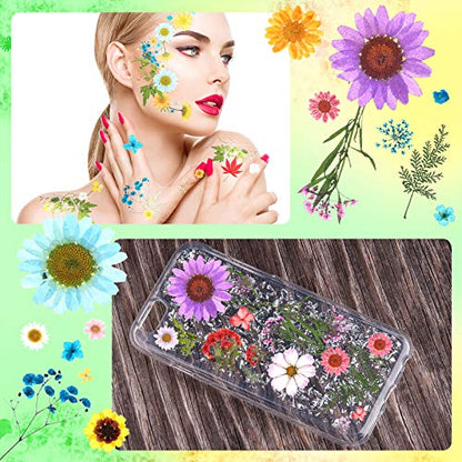 110 Pcs Dried Pressed Flowers for Resin, Real Dry Daisy Flowers and Leaves Bulk with Tweezers and Box Set, Art Crafts Resin Jewelry Making Scrapbook DIY Supplies Card, Soap, Candle Making, Nail Decor