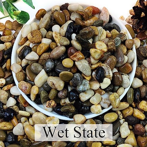 YISZM 20lbs Natural River Rocks for Plants, 3/8" Aquarium Gravel | Decorative Polished Mixed Pebbles for Fish Tank, Gardening, Flower Pots, Vase Fillers, Indoor Water Fountains, Landscaping - size: 3/8 Inch