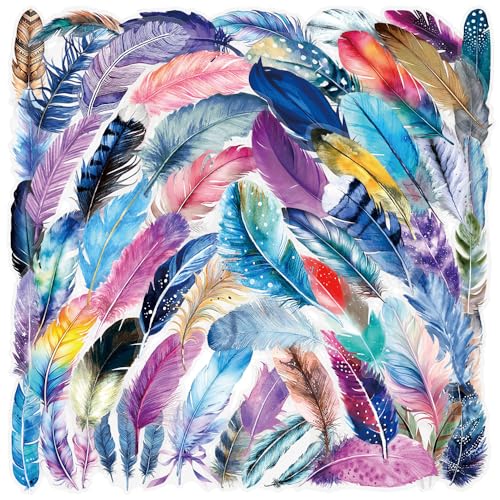 50PCS Transparent Feather Aesthetic Stickers - style: Aesthetic Feather
