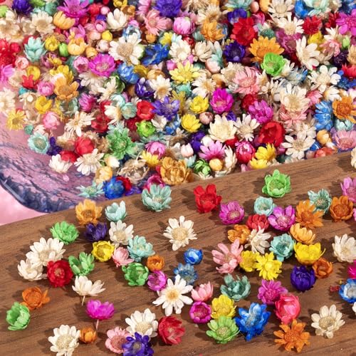 300 PCS Small Dried Flowers for Crafts - Mini Dried Flowers for Resin, Tiny Natural Real Dried Pressed Flowers Bulk for DIY Jewelry Earrings Epoxy Molds, Candles Soap Making - size: 300Pcs