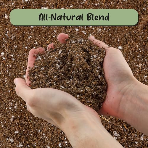 Soil Sunrise Desert Rose Potting Soil Mix (8 Quarts) Hand Blended Small Batch Soil Blend for Desert Rose Plant