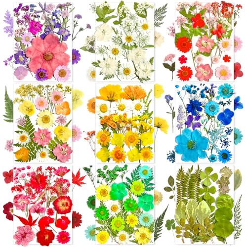 MIKIYA 182Pcs Dried Pressed Flowers for Resin Molds, Assorted Real Natural Bulk Dry Floral Leaves for DIY Art Crafts, Epoxy Jewelry, Candle, Soap Making, Nails Decors Gifts - color: Multi Color