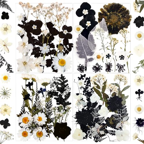 MIKIYA 84Pcs Black Dried Pressed Flowers for Resin Molds, Bulk Real Natural Dry Floral for DIY Art Crafts, Epoxy Jewelry, Candle, Soap Making, Nails Decor, Phone Case - color: Black