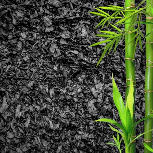 GARDENWISE Horticultural Charcoal for Plants – Organic Bio Char Soil Amendment for Terrariums, Indoor Plants & Gardening, Made in USA (1 Quart) - color: Horticultural Charcoal, size: 1 qt