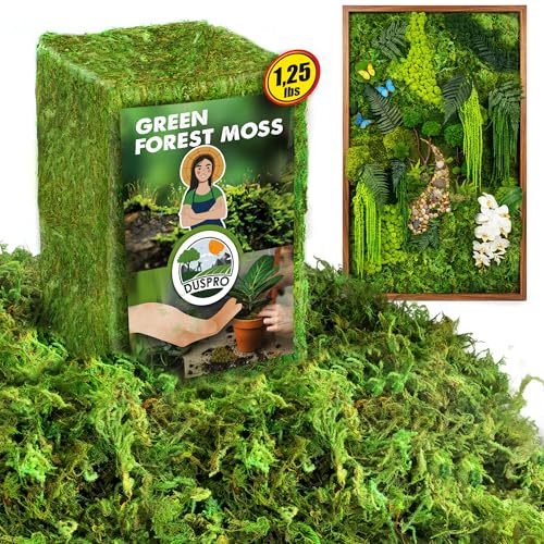 DUSPRO Green Forest Moss for Crafts, Real Dried Decorative Moss, 1.25 Lbs - color: 1.25 Lbs