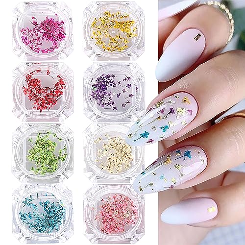 8 Boxes Dried Flowers for Nails Mini Real Nail Flowers 3D Dried Flowers Nail Stickers Nail Decor Manicure Design Nail Decorations for Makeup DIY Craft Accessories - color: Dried Flowers/8 Boxes