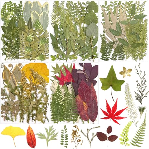 Nuanchu 167 Pcs Pressed Dried Flowers for Resin, Green, Fresh Style | Natural Botanicals with Colorful Daisies and Wildflowers, For Resin Art, Nail Designs, Candle Making, Jewelry Pendants - color: Green, style: Fresh Style