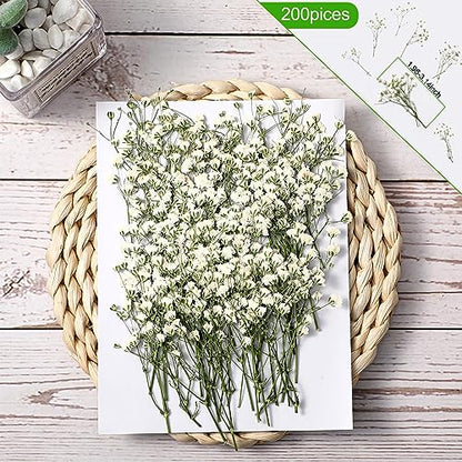 Fabbay 100 Pcs Wedding Invitations Wraps Set Include Pre Folded Vellum Jackets for 5 x 7 Inch Invitations Natural Dried Pressed Flowers for Wedding Craft DIY