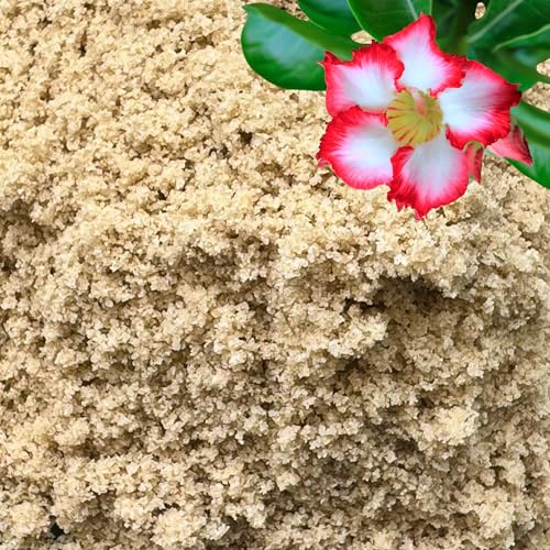 Fine Sand for Plants – Horticultural Sand for Succulents, Cactus, Potting Mixes, Terrariums & Decorative Indoor Gardens, Made in USA (5 quarts - 14 lbs) - color: Horticultural Fine Sand, size: 5 qt