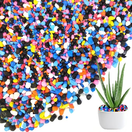0.88 LB Colored & Black Pea Gravel,Succulent Cactus Topper Dressing Pebbles | Colorful Pearlized Stones,Bonsai Soil Cover,Terrarium Fairy Garden Landscape,Vase Fillers,Fish Bowl,Home Decor,3-6mm - color: Mixed Colors
