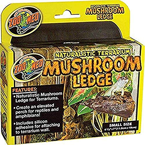 Zoo Med Naturalistic Terrarium Mushroom Ledge Small (7" Long x 4.5" Wide) - Pack of 6