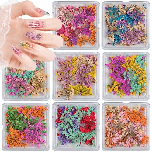 8 Boxes Dried Nail Flowers with Tweezers, Natural Tiny Pressed Flowers for Nail Art Colorful Mini Dried Flowers for Resin Crafts Decorations Spring & Dry Floral Nails Designs