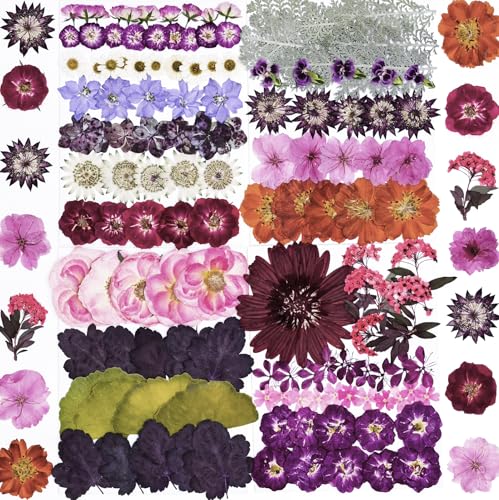 146pcs Dried Pressed Flowers for Crafts, Dried Flowers for Resin, Scrapbooking, Candle Making, Jewelry Making, Embellishment & DIY Crafts - color: 146pcs Colorful Pressed Flowers