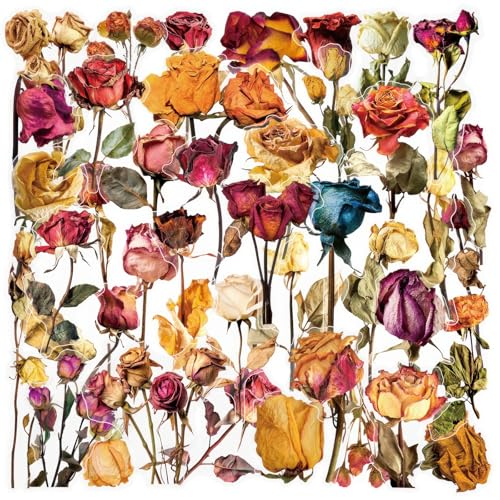 50PCS Vintage Dried Flower PET Stickers - style: Vintage Dried Flower