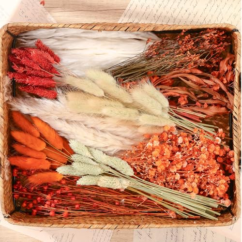 10 Kinds of Dried Flowers for Crafts Burnt Orange Fall Flowers Natural Pampas Grass Bunny Tails Babys Breath Hydrangea with Stems Dry Floral Arrangement for Fall Wedding Autumn Decorations for Home - color: Fall