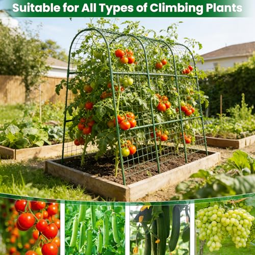 Cucumber Trellis for Raised Bed 48" L x 48" H U-Shape Garden Trellis for Climbing Plants Outdoor, Metal Arch Trellis for Vegetables, Plant Support for Tomato Pea Zucchini Grape Flowers - size: 120" Lx120" H