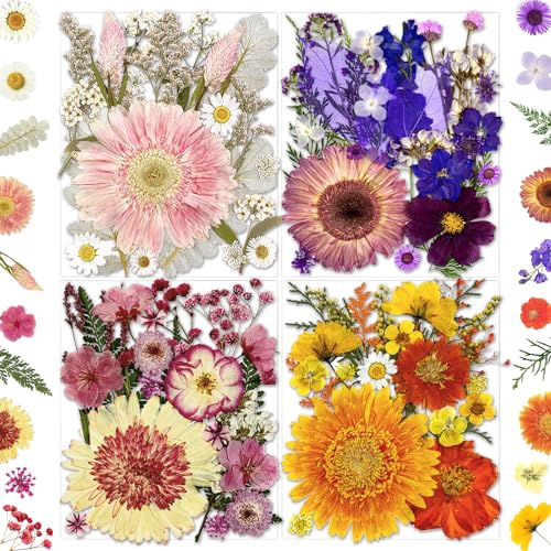 MIKIYA 98Pcs Pressed Dried Flowers for Resin Molds, Real Natural Bulk Big Dry Floral Leave for DIY Art Crafts, Epoxy Jewelry, Candle, Soap Making, Nails Decors - color: Big Flowers