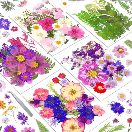 140+Pcs Real Dried Pressed Flowers Leaves Petals for Crafts-Beautiful Pressed Flowers Daisies for Resin Jewellery, Pressed Flowers Nail Pendant Crafts Making Craft DIY Accessories with 1pcs Tweezers - color: Color-purple