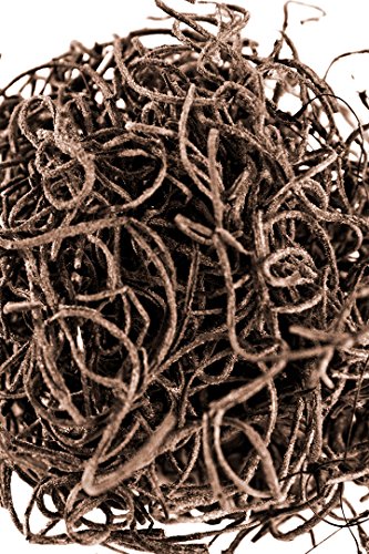 SuperMoss (26964) Spanish Moss Preserved, Coffee, 4oz