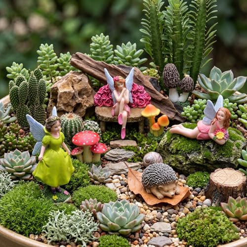Fairy Garden Figurines Set of 6-3 Mini Fairies with 2 Mushrooms & Hedgehog, Resin Miniature Figurines for Fairy Garden Decor, Outdoor Garden Statues, DIY Terrarium Accessories - color: 6pc