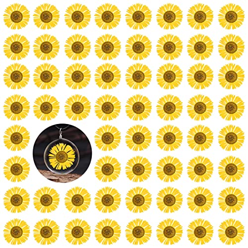 60PCS Yellow Pressed Dried Flowers Needle Chrysanthemum for Resin Mold, Real Natural Dry Flowers for Jewelry Candle Making Desk Lamp Craft DIY Phone Case House Decoration - color: Needle Chrysanthemum-yellow