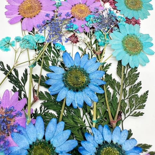 Woohome 110PCS Real Pressed Flowers, Dried Pressed Flowers Colorful Real Pressed Flowers for Resin Nail Art Scrapbooking Candle Jewelry Making Real Dried Pressed Flowers Resin Supplies Kit - color: 1