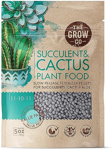 Cactus & Succulent Indoor Plant Fertilizer, Long Lasting Formula, 5oz - size: 5 oz