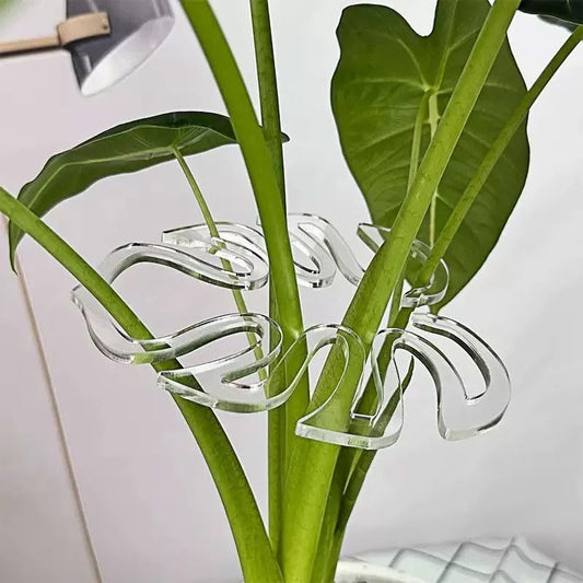 5/10Pcs Transparent Turtle Backed Bamboo Plant Support Pole Reusable Indoor and Outdoor Gardens Plant Stem Support Stake (10Pcs,13x9.5cm) - color: 10Pcs,13x9.5cm