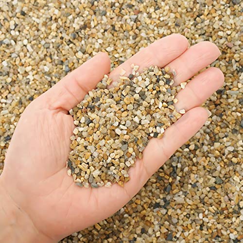 5 lb Coarse Sand Stone - Succulents and Cactus Bonsai DIY Projects Rocks, Decorative Gravel for Plants and Vases Fillers，Terrarium, Fairy Gardening, Natural Stone Top Dressing for Potted Plants. - size: 5 LB