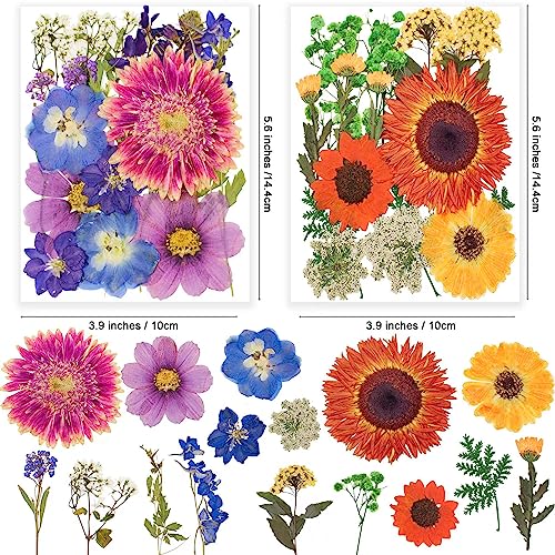 122PCS Large Nature Dried Pressed Flowers for Resin Mold, Real Dry Pressing Floral with Butterfly Transparent Stickers Set for DIY Jewelry Making Nail Card Scrapbook Art Craft Love Parade - color: Love Parade