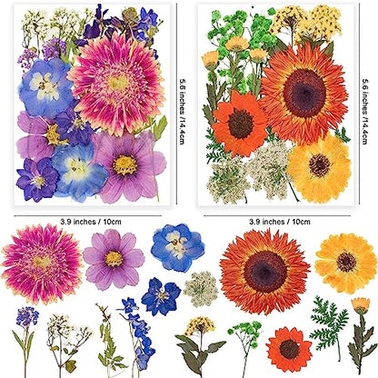122PCS Large Nature Dried Pressed Flowers for Resin Mold, Real Dry Pressing Floral with Butterfly Transparent Stickers Set for DIY Jewelry Making Nail Card Scrapbook Art Craft Love Parade - color: Love Parade